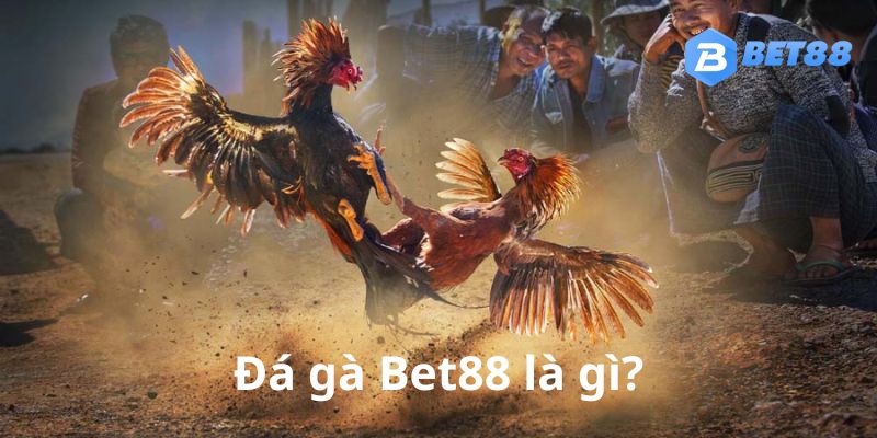 Tổng quan về đá gà bet88 mới nhất