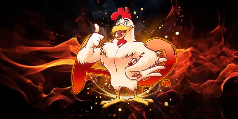 Đá gà Thomo là gì và vì sao nổi tiếng?
